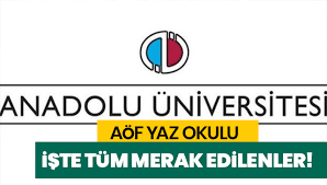Yaz Okulu Hakkında Bilmeniz Gerekenler