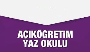 Yaz Okulunda Hangi Dersleri Seçmeliyim?